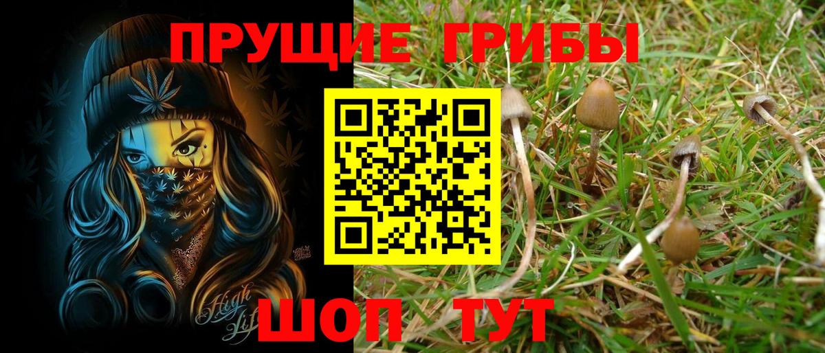 Азов  Галлюциногенные грибы Psilocybine cubensis  Галлюциногенные грибы MAGIC MUSHROOMS  Вход с VPN 